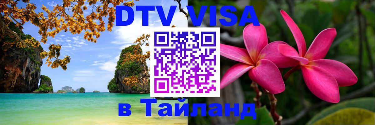 Сколько стоит DTV виза — актуальные цены, оформление даже без документов - Барнаул 